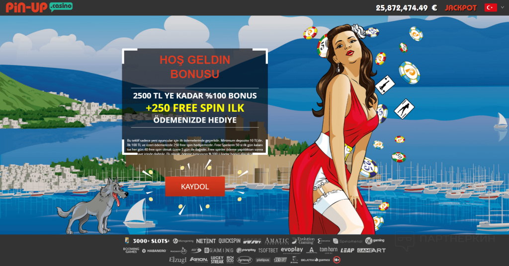 Bonus Casino Pin-Up'a Hoşgeldiniz